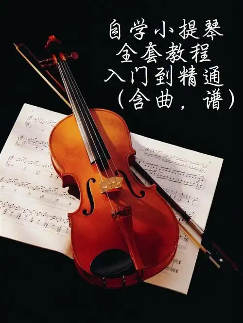 自学小提琴全套教程需要的zhao我要