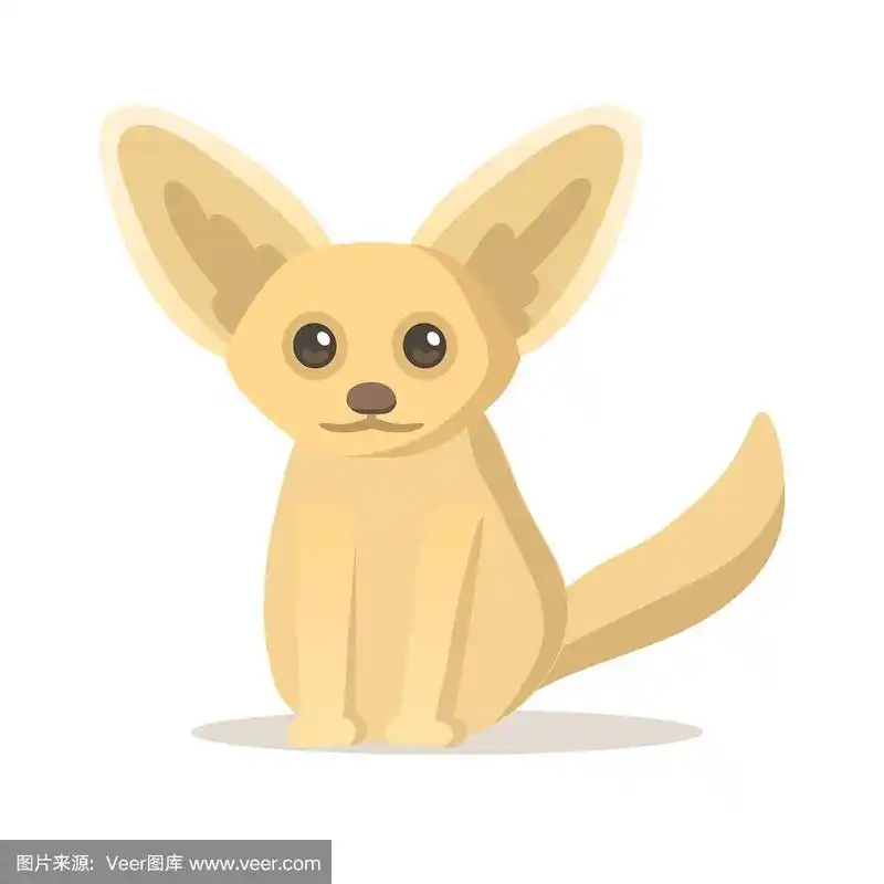 矢量,非洲大耳小狐,可爱的,绘画插图,白色背景