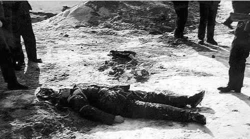 30年前枪毙女贪官的照片