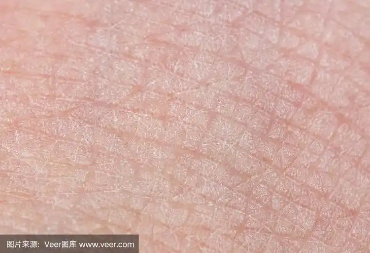人体皮肤纹理微距照片
