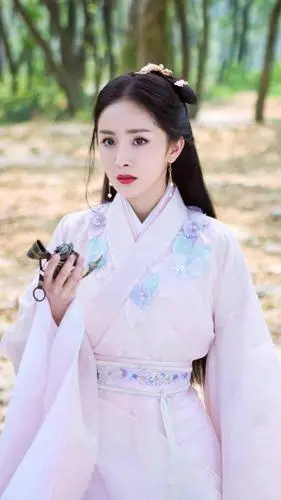 女明星杨幂古装照:扶摇,风晴雪,白浅,洛晴川,哪种造型具有仙女气质?