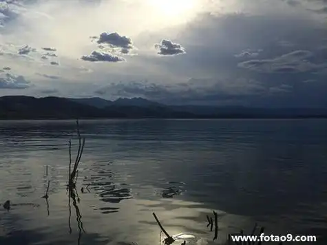 梦见在水里躲是什么意思?_周公解梦查询_佛滔算命网