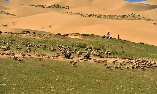 内蒙古沙漠草原游内蒙古三天旅游规划