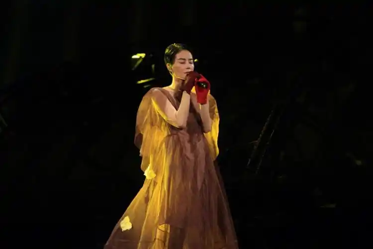 王菲  在2016年底举行的《幻乐一场》演唱会伴随着无数菲迷的期待和