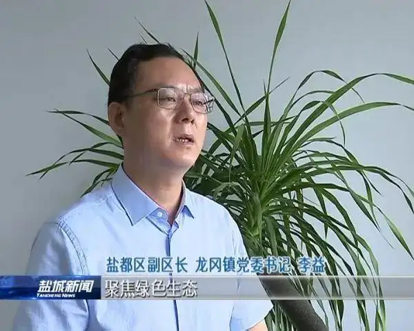 盐都区副区长龙冈镇党委书记李益:聚焦实体经济,坚持"招商第一,项目为