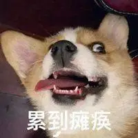 朋友圈累成狗的配图 加班累成狗发说说搞笑配图_微信头像图片大全