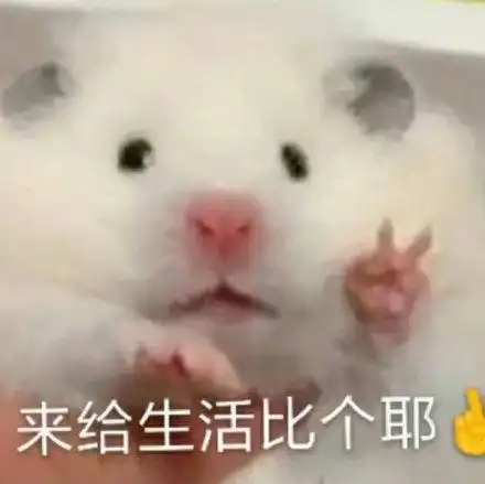 来给生活比个耶(龙猫表情包)_比个_龙猫表情