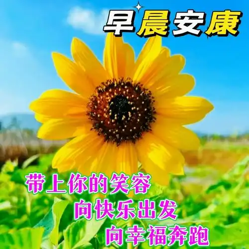 愿我们都平安健康!幸福永远.大家早上好!早安,朋友!