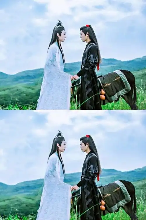 《陈情令》【忘羡】王一博|肖战