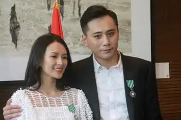 章子怡刘烨获法国艺术文学骑士勋章_百度视频搜索