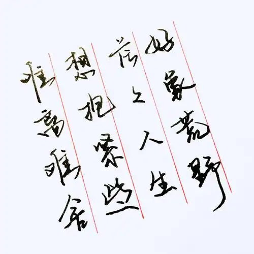 手写歌词.难离难舍 想抱紧些 茫茫人生 好像荒野 ——陈奕迅《单车》