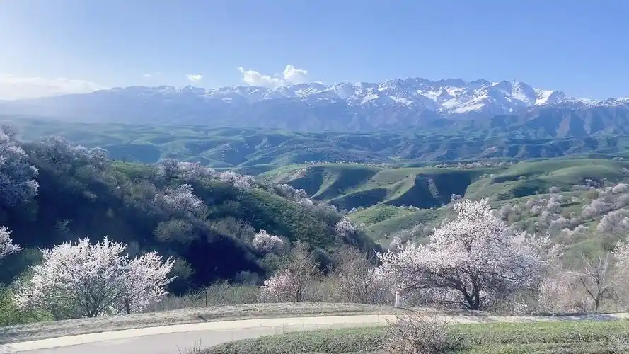 新疆伊犁大西沟福寿山_哔哩哔哩_bilibili