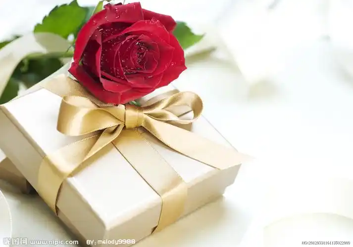 玫瑰礼物图片