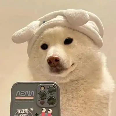 用了一辈子都不换的超萌狗狗头像