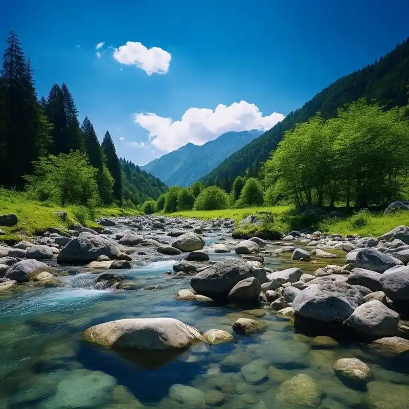 男士风景头像,自然,稳重 木土,木土,水土,木木,我可以为您设计一款