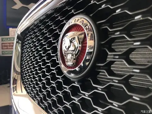 车头红色夹呱标,咆哮的豹头