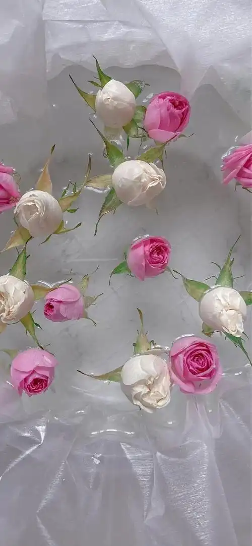 抖音好物推荐背景图片大全(抖音好物推荐背景图片2021最火爆)