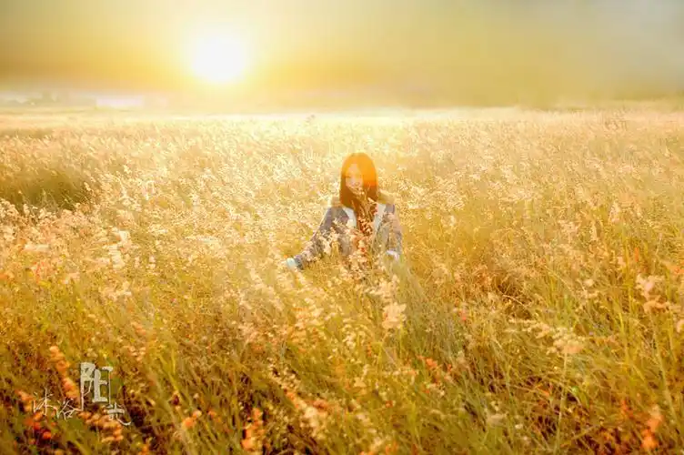 生活启示录种田带来的收获