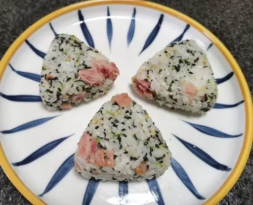 蕾蕾vonl做的手握三角饭团