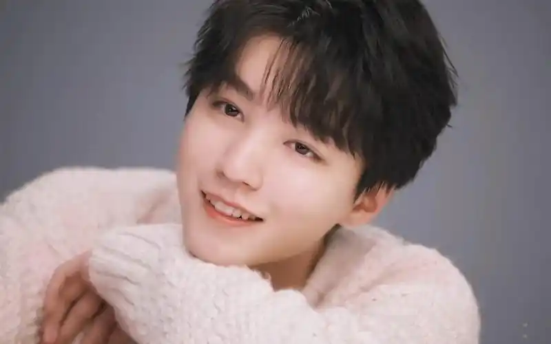 【王俊凯】巴黎卡诗广告颜值向混剪