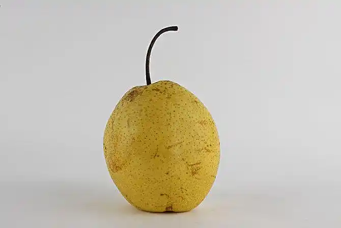 单个物体图片_全景网