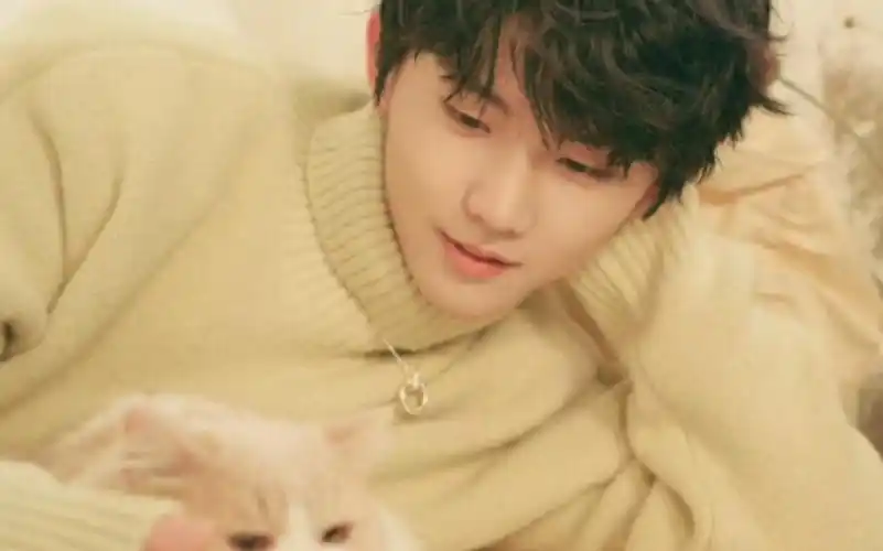 【马嘉祺×你】求婚啦!