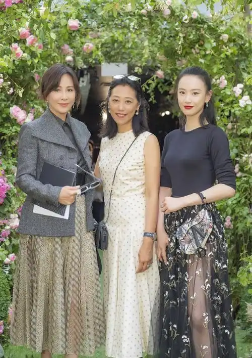 以及超模何穗,无论从年龄,还是身高,身材来看,刘嘉玲的硬件条件都不如