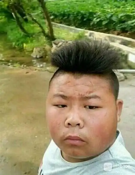 哎…这张憨厚的脸扫把的发型钱最多也没用,没