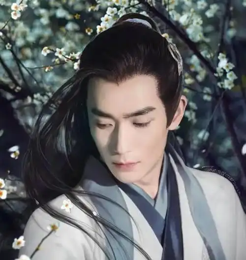 浓眉大眼的大帅哥朱一龙,就是古装美男的典型代表.