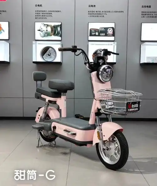 台铃电动车新款甜筒新国标智能刷卡大电池长续航成人小款型代步车