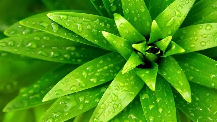 抖音业务平台大全-qq名片赞腾族代刷代刷网-代刷qq名片赞网址,快手