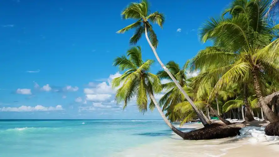 电脑壁纸 风景 风景图片 夏日沙滩享受日光浴