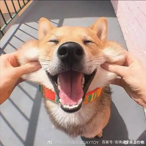 能让你笑的人未必能让你哭,能让你哭的人一定能让你笑