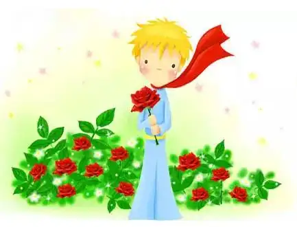 五句英语语录读懂《小王子》