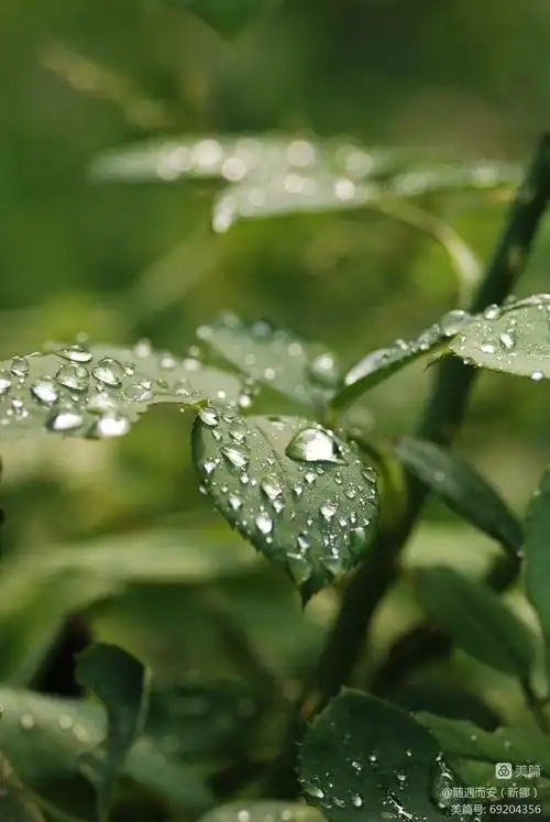 750_1121竖版 竖屏