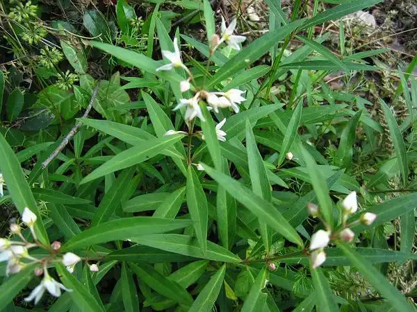 plain的相册-植物园