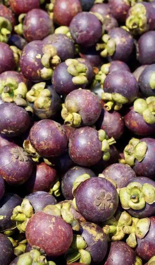 壁纸 水果 660_1124 竖版 竖屏 手机