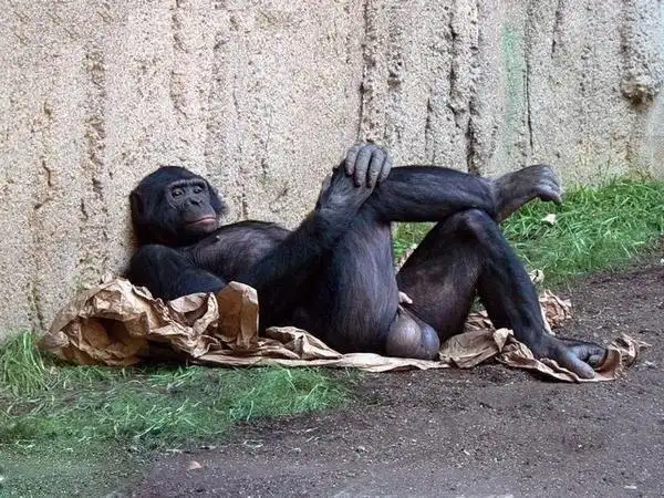 超级搞笑图片集 2