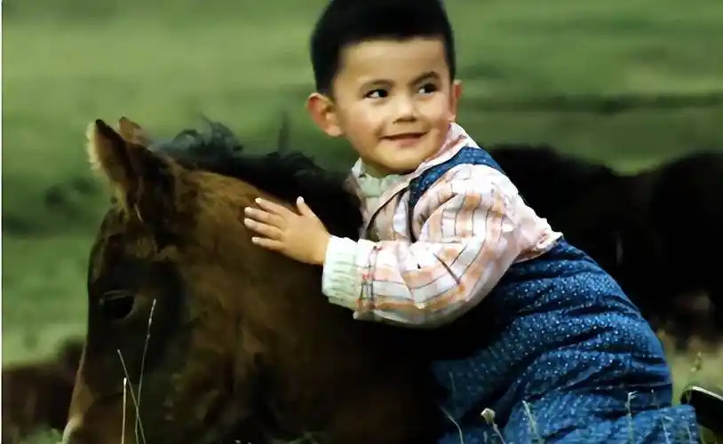 因为身高问题接连被两所表演学校拒收,无学可去的他后来还做起了打杂