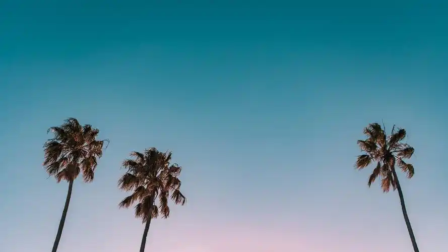 简约淡雅壁纸【51】