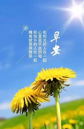 2021年非常好看的美丽的鲜花早安问候图片精选最新早上好问候图片带字