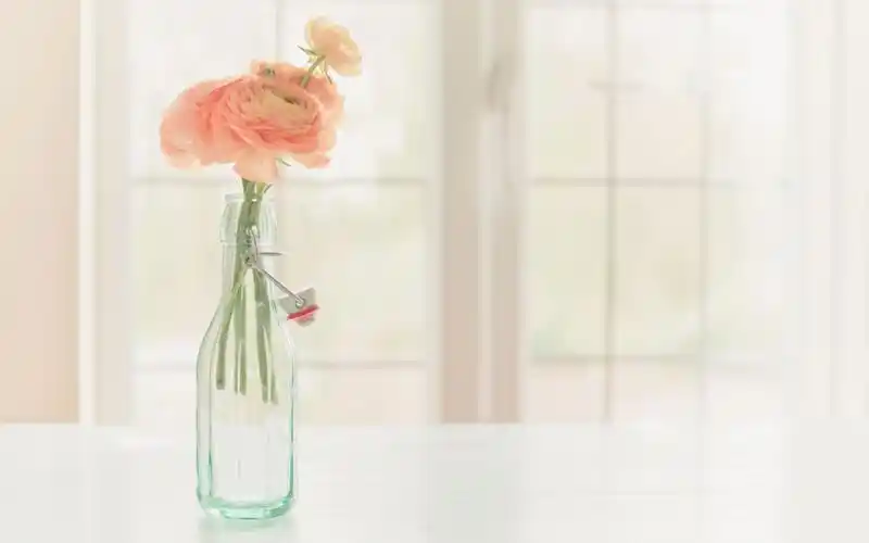 小清新文艺风景静物高清桌面壁纸