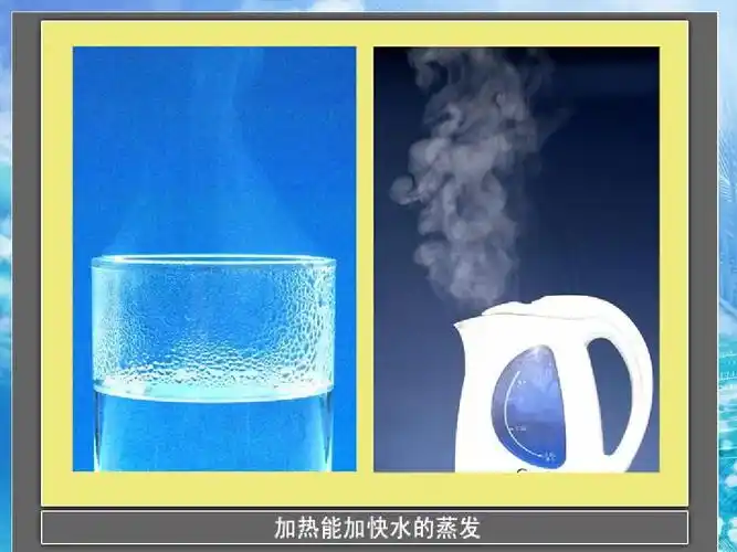 三年级科学下册 水和水蒸气 3课件 教科版