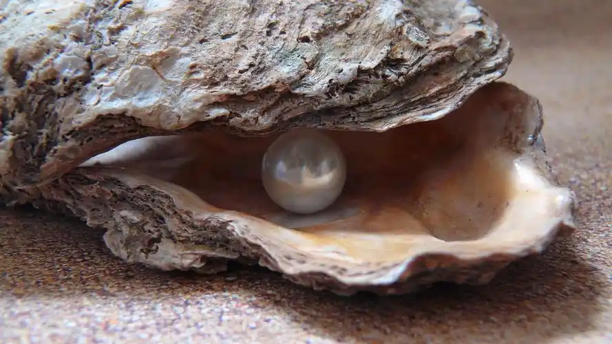 4k高清珍珠饰品图片2020