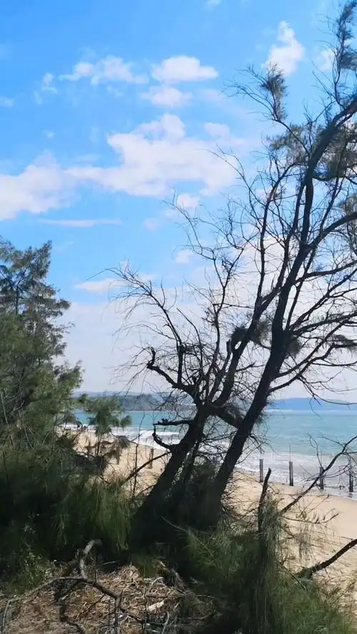 蓝天碧海阳光云彩,白塘湾的沙滩一览无余