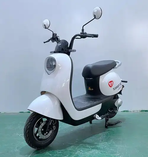 台铃牌tl500dqt-35c电动两轮轻便摩托车公告图片