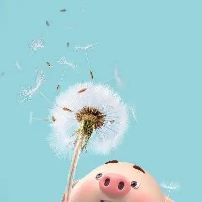 2020猪年微信头像 卡通猪头像呆萌高清无水印12_可爱美图