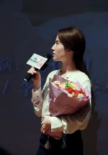 刘亦菲郑州路演