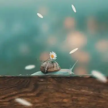 高清有意境的精美唯美头像图片,微信头像图片