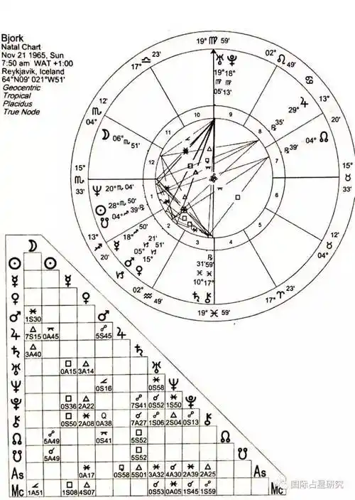 新浪星座网易星座等占星教程如何查看自已的星盘 在查询信息框里填写